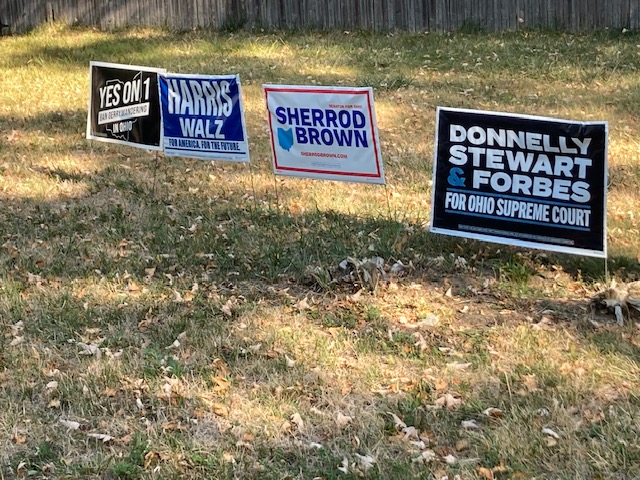Vote 2024: The Language of Political Signs
