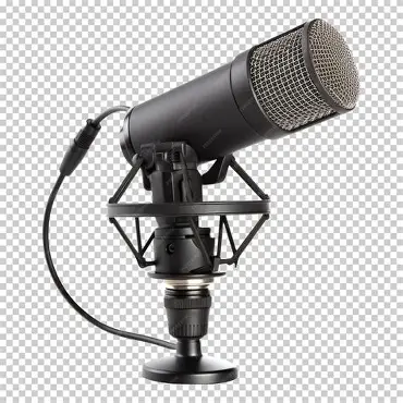 Podcast Offers New Avenue for Book Promotion